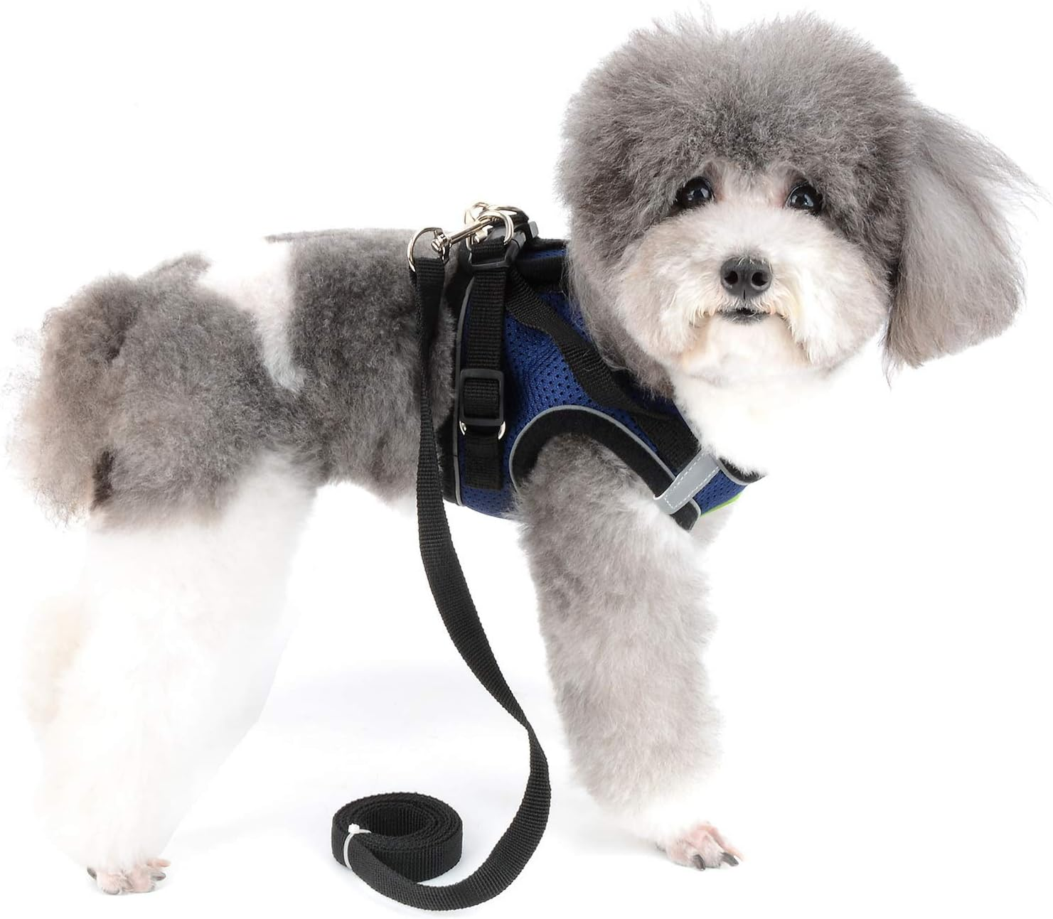 ZUNEA Small Dog Harness and Lead Set No Pull Puppy Vest Harnesses Adjustable Reflective Soft Mesh Step-In Pet Cat Harness Escape Proof for Walking, Bright Colors for Dogs Girl Boy Darkblue XL image number 6