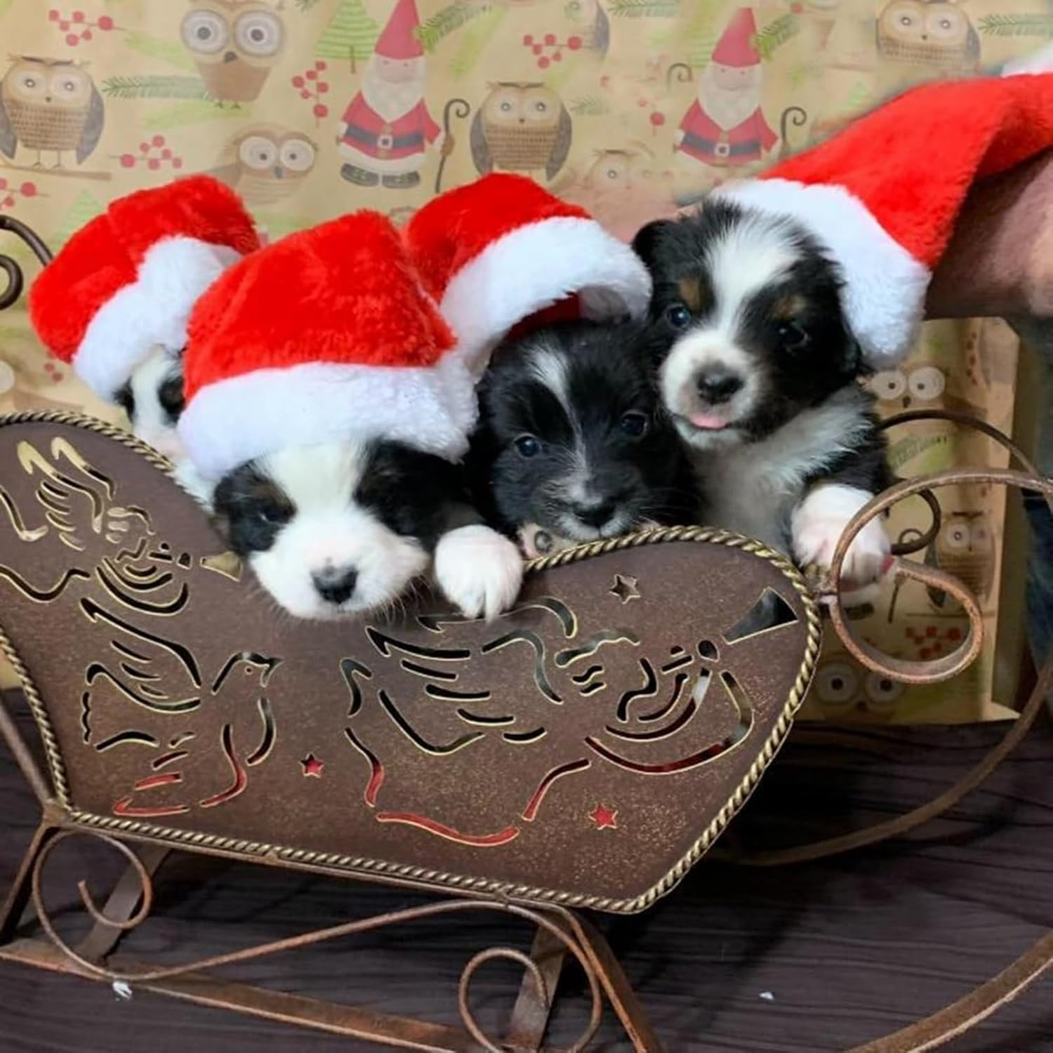 Itadaku 6 Pcs Pet Santa Hats, Christmas Costume Hats for Small Dogs Cats, Plush Holiday Photo Props with Elastic Band image number 1