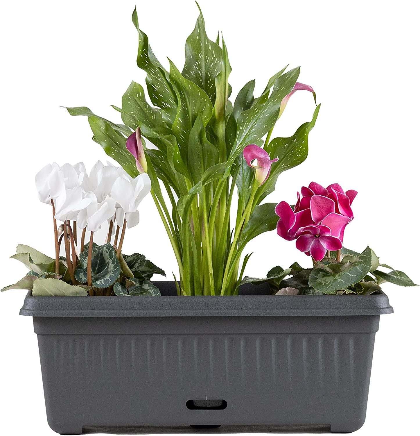 Home Leisure Rectangular Traditional Water Saver Planter, 480 Mm Size, Charcoal image number 1