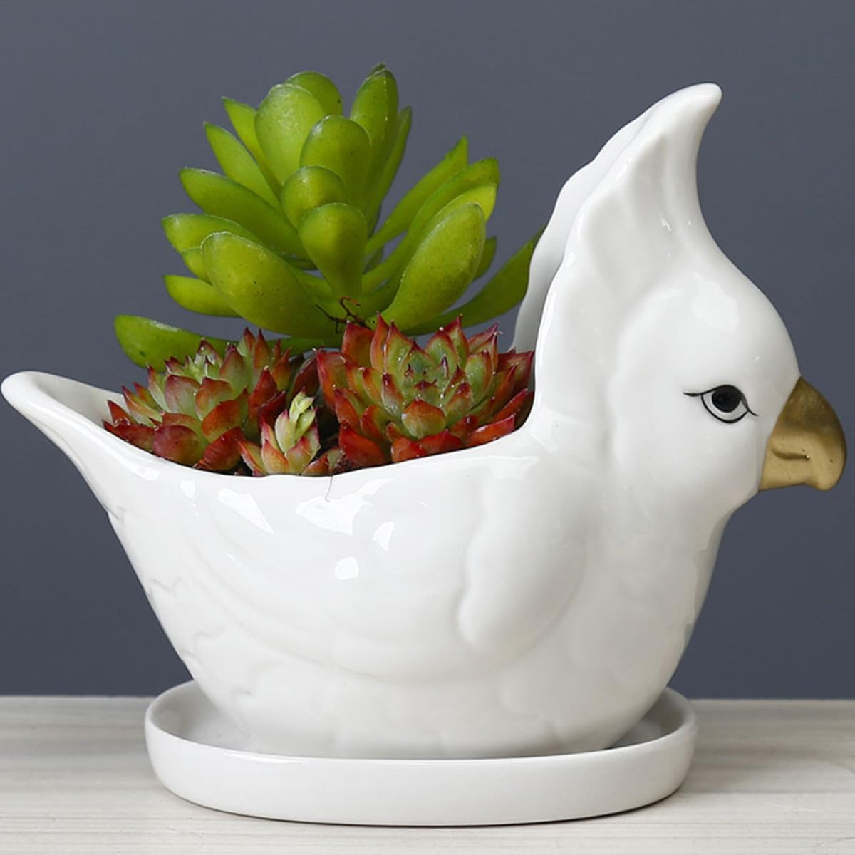 SEWACC Ceramic Succulent Flowerpot Set with White Parrot Design and Saucer, Creative Cartoon Animal Planter Pot for Indoor Gardening and Green Plant Decoration image number 2