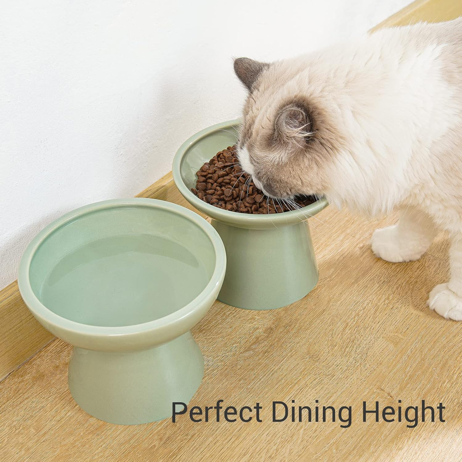 CEEFU 2 Extra Wide Elevated Cat Food Bowl, Ceramic Cat Bowls for Food and Water, Wide Shallow Cat Food Dish, Whisker Fatigue, Lead & Cadmium Free, Great Height for Cat, Sage Green - Pink 2 image number 4
