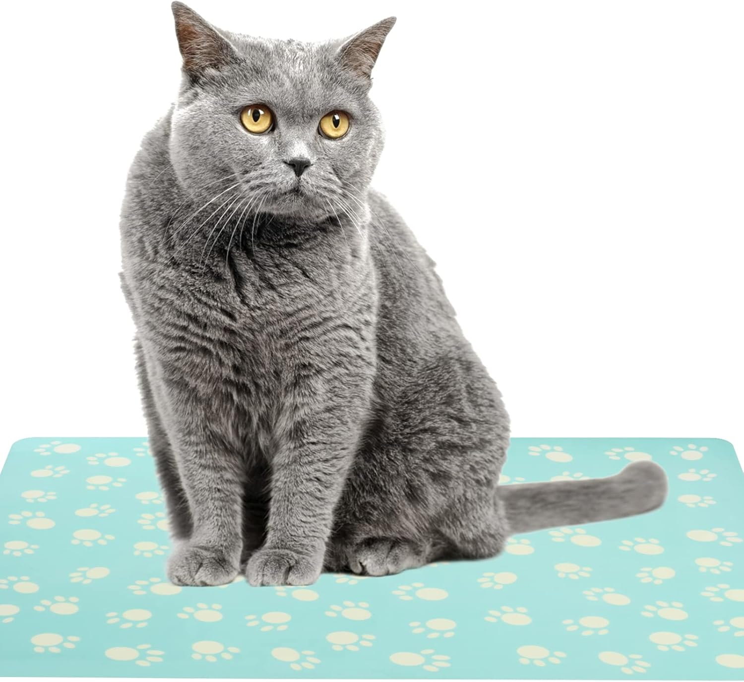 2Pcs Pet Feeding Mat Dogs Cats Non-Slip Placement Tray Cushion to Stop Food Water Bowl Messes on Floor for Home Pet Shop image number 1