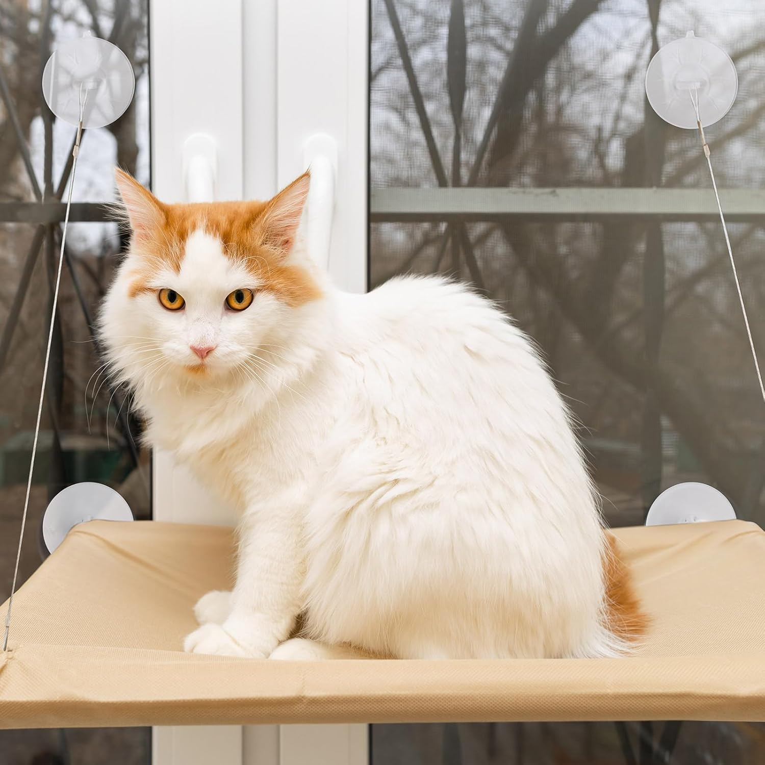 4 Piece Cat Window Perch - Suction Cup Powerful Cat Bed Seat Replacement - Clear PVC Sucker Pads - Window Hammock Seat image number 5