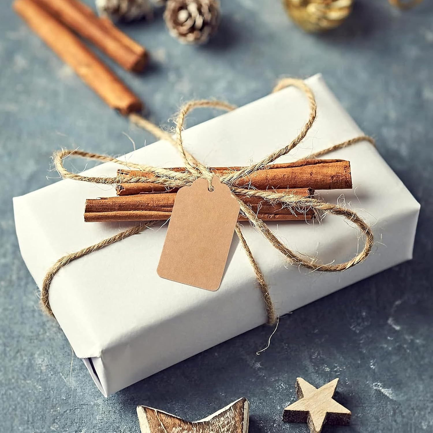 Blank Gift Tags with String,100 Pcs Kraft Paper Premium Gift Tags, with 32.8 Feet Natural Jute Twine,Double-Sided Available Kraft Paper Price Tags - 2.76 X 1.57Inch image number 1