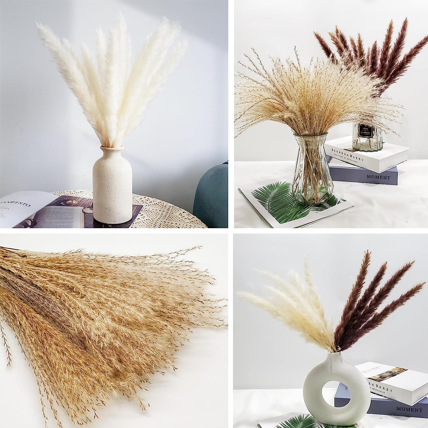 Total 60 Pcs | 15 Pcs White Pampas & 15 Pcs Brown Pampas & 30 Pcs Reed Grass/Natural Dried Pampas Grass for Flower Arrangements Home Decor image number 6