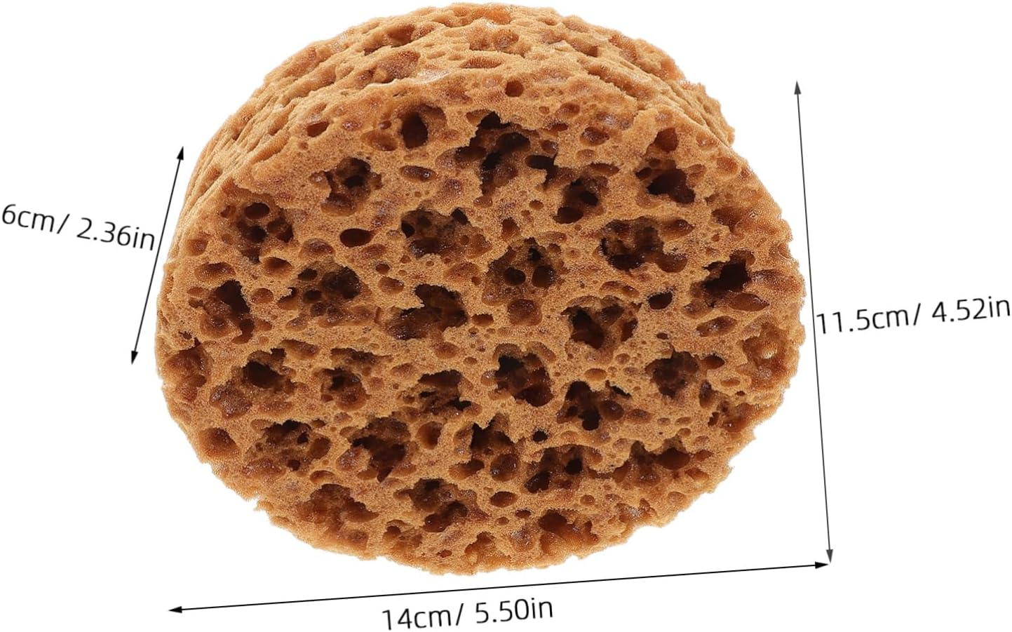 Stencil and Artist Paint Sponge Brush for Decorative Wall and Furniture Painting, Small Seaweed Foam Craft Tool for Fine Art and Diy Craft Painting image number 2