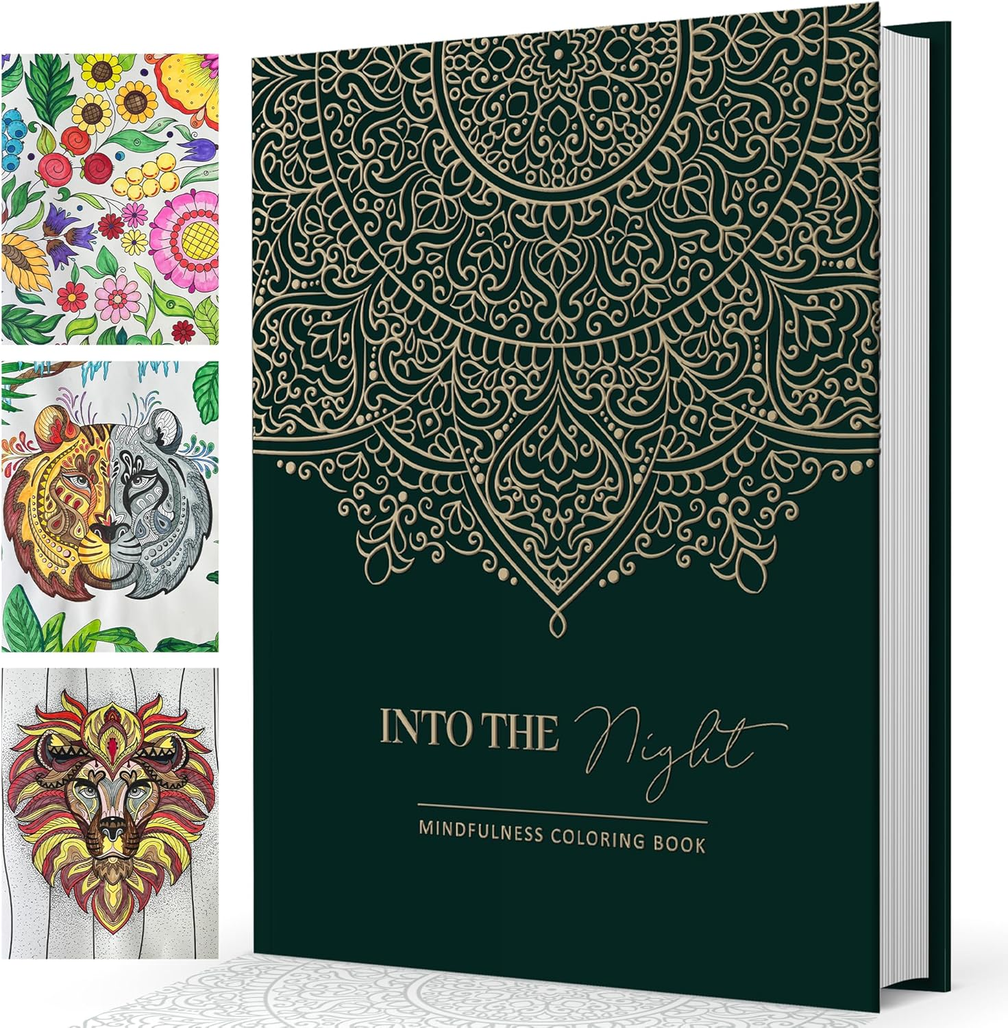 BIROYAL A4 Adult Colouring Book for Women &ndash; 100 Motifs Mindfulness Colouring Book with Personal Growth Prompts for Relaxation &ndash; Relaxation Gifts for Women