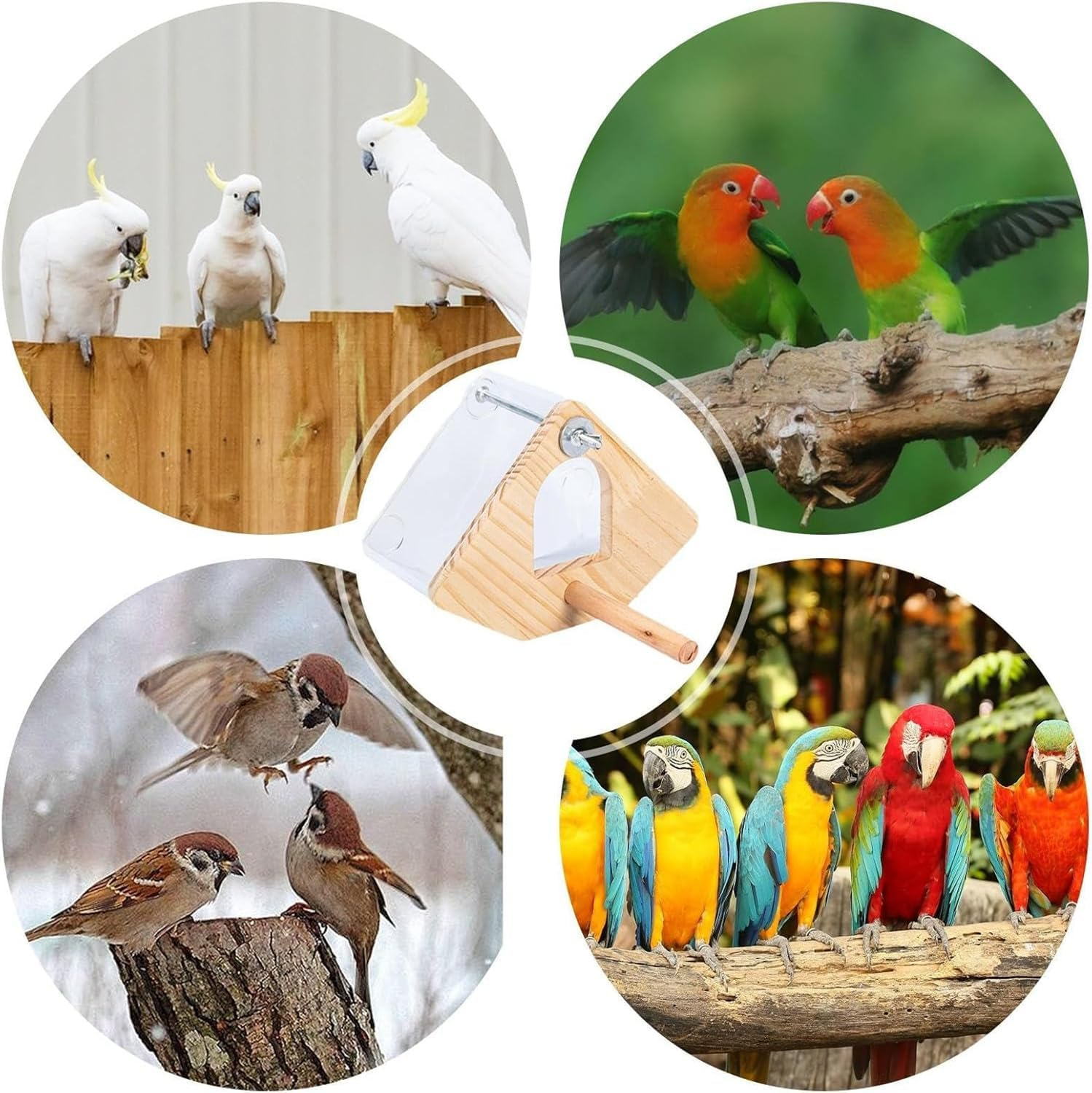 Parakeet Nest Box, Easy-Wash Avian Breeder Shelter Finch Parakeet Mating Hideouts, Ventilated Cockatoo Roosting Chamber for Garden Cage Room Setup (Transparent, 20.4Cm*20.2Cm*14Cm) image number 1