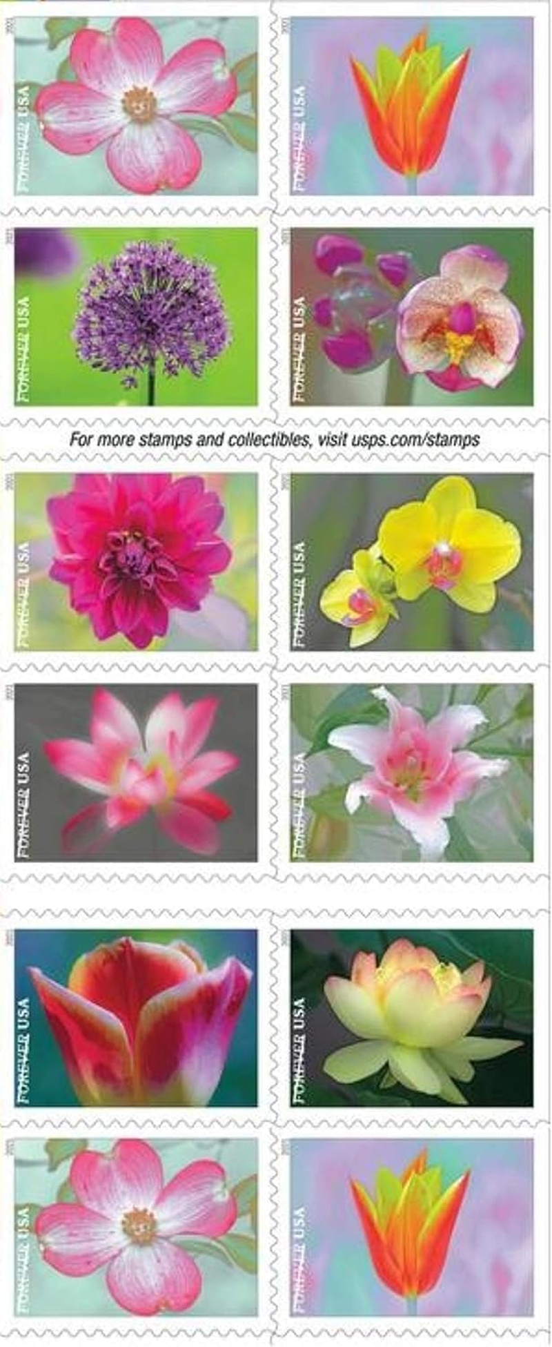 Garden Beauty Forever Postage Stamps 10 Books of 20 US Postal First Class Wedding Celebration Anniversary Flowers Party(200 Stamps)