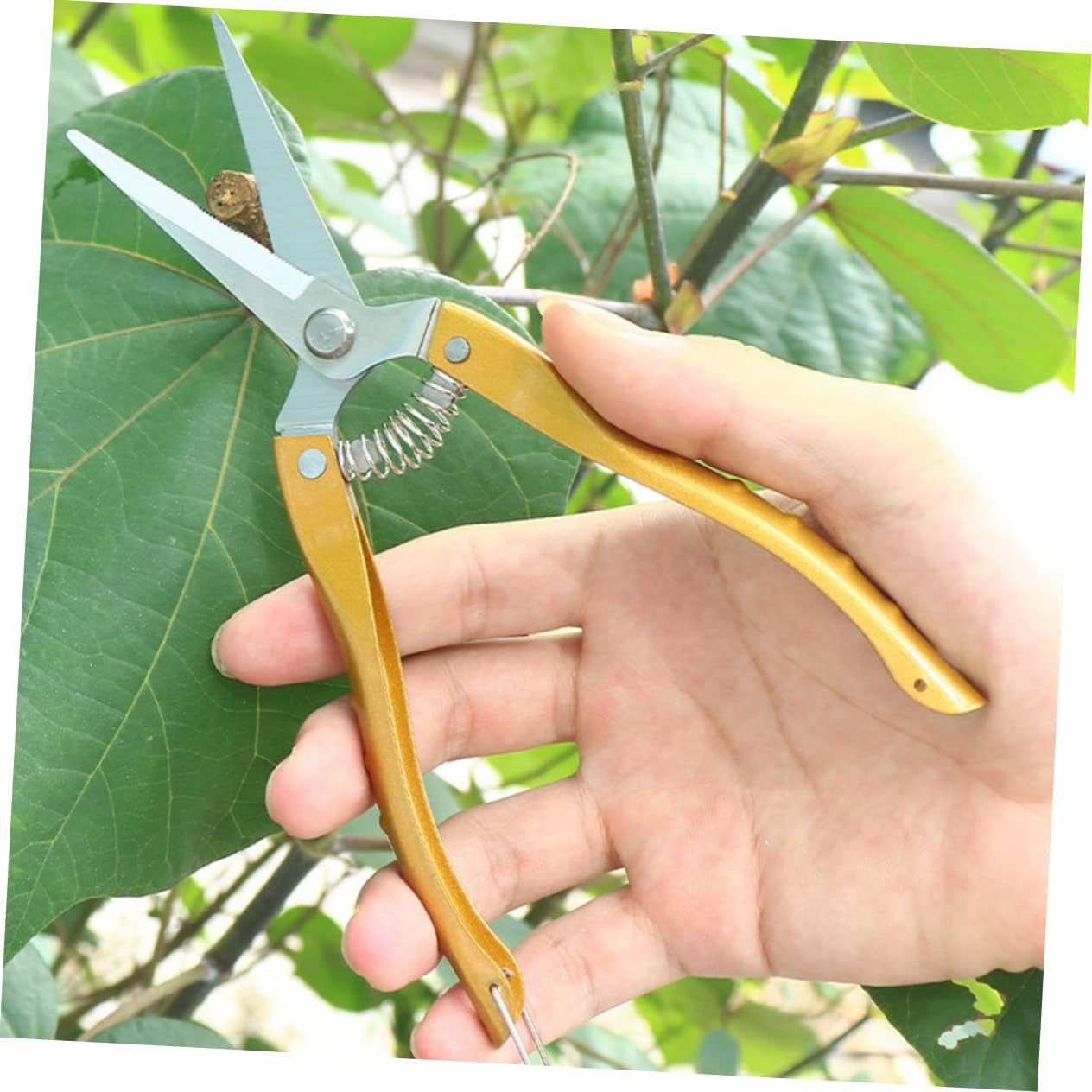 ORFOFE 2Pcs Pruning Shears Stainless Steel Garden Tools for Gardening Trimming Scissors Plant Shears Flower Pruning for Garden Vegetables image number 6