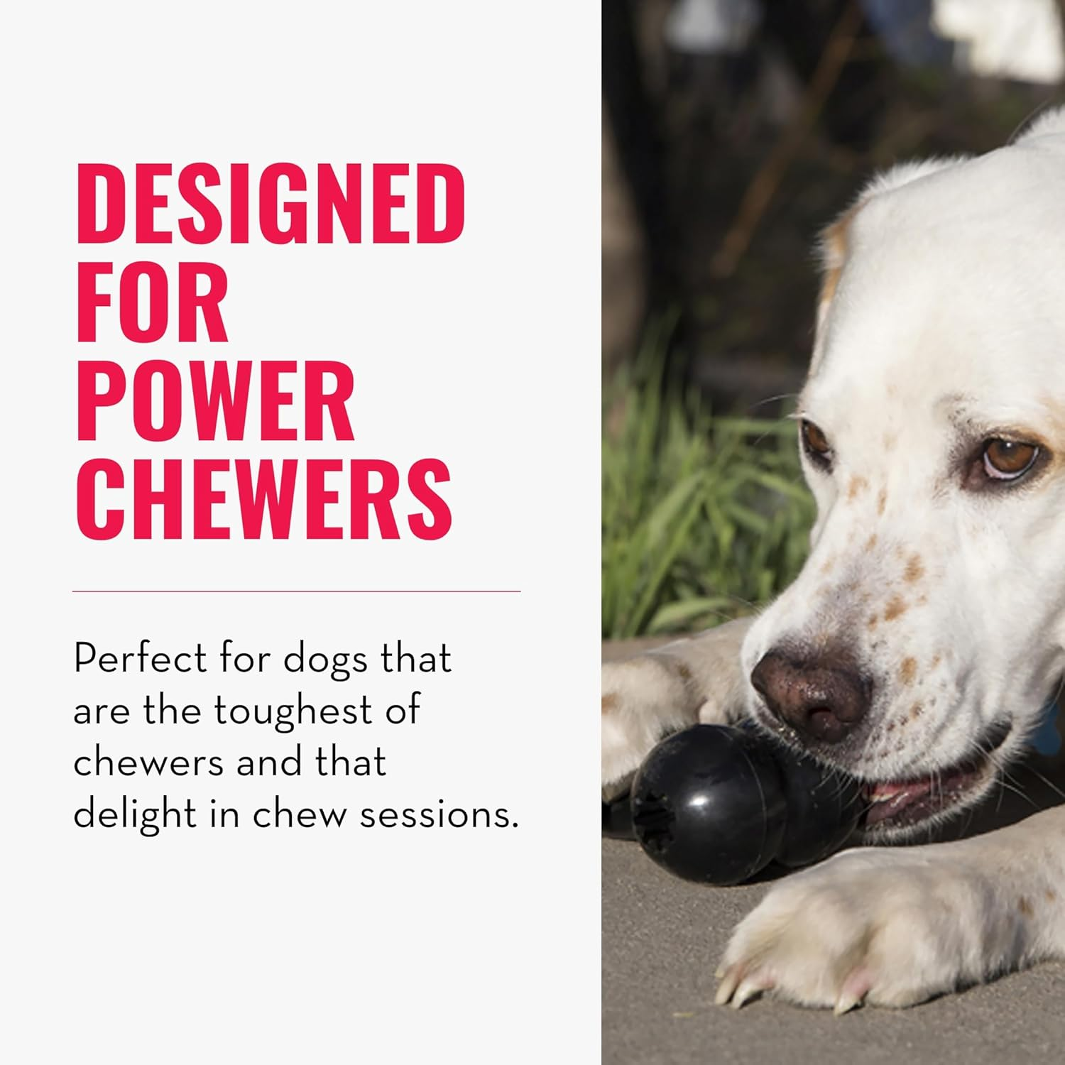 KONG - Extreme Goodie Bone - Durable Rubber, Teeth and Gum Cleaning Dog Toy - for Medium image number 6