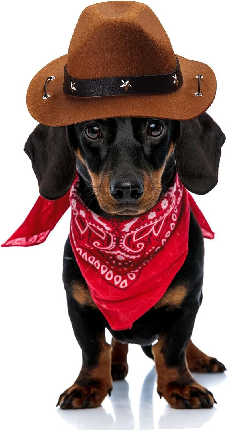 Pet Cowboy Costume Accessories Dog Cat Pet Size Cowboy Hat and Bandana Scarf West Cowboy Accessories for Puppy Kitten Party Festival and Daily Wearing Set of 2 (Coffee) image number 5
