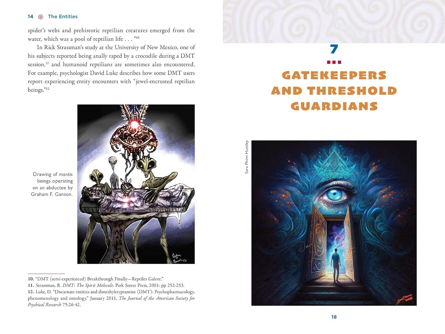 The Illustrated Field Guide to DMT Entities: Machine Elves, Tricksters, Teachers, and Other Interdimensional Beings image number 3
