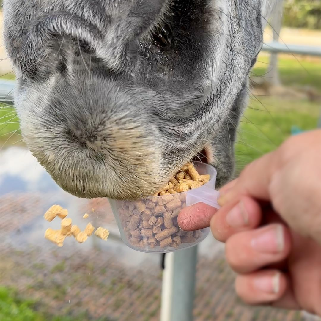 Protein Booster Pellets 12 Kg image number 3