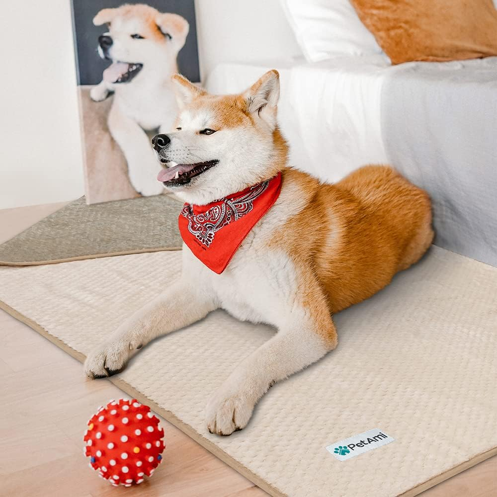 Petami Waterproof Dog Blanket, Leakproof Puppy Blanket for Medium Large Dog, Furniture Sofa Couch Cover Protector, Fleece Pet Throw Indoor Cat Kitten, Reversible Washable Soft Plush, 40X60 Taupe Beige image number 6