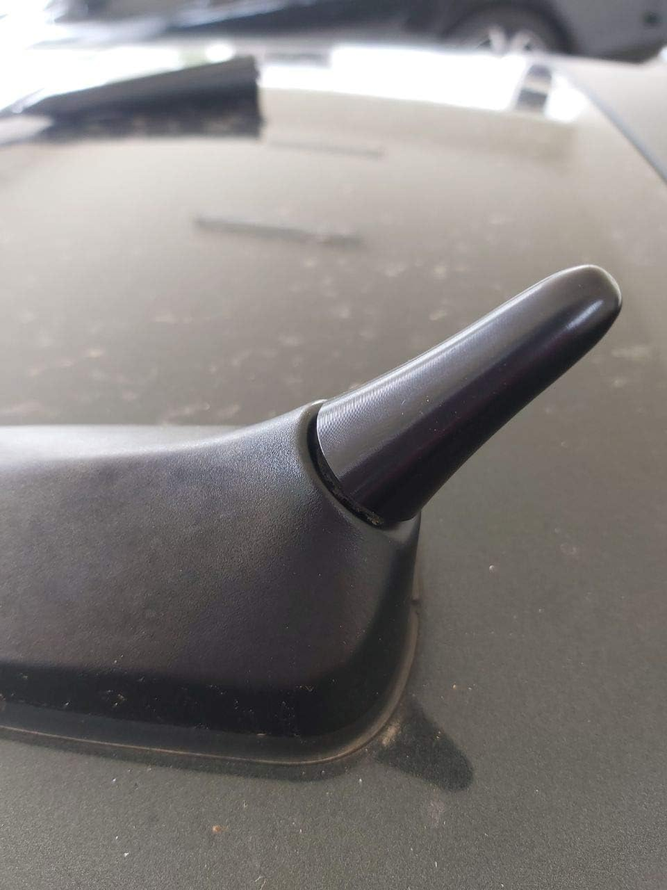 Short Antenna Stubby Bee Sting for Holden Commodore VF VF2 SS SSV SV6 Redline image number 1