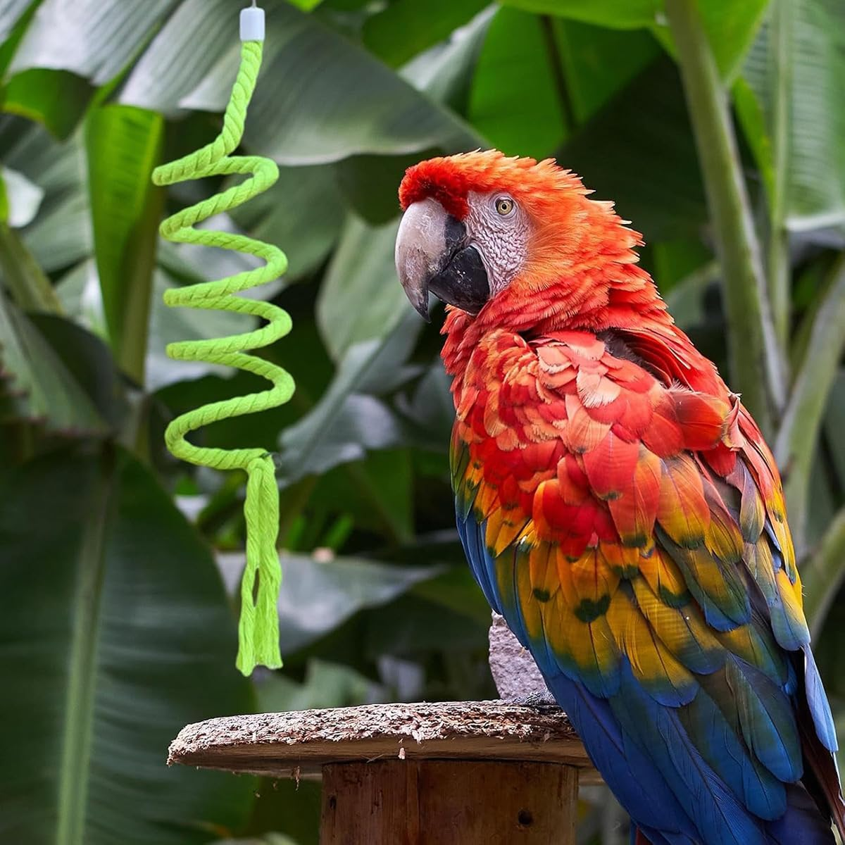 AIMALL Cotton Rope Parrot Toy, 59-Inch Spiral Climbing Rope for Small Birds, Hanging Swing Ladder with Hook, Interactive Cage Toy for Parrots, Cockatiels, Budgies