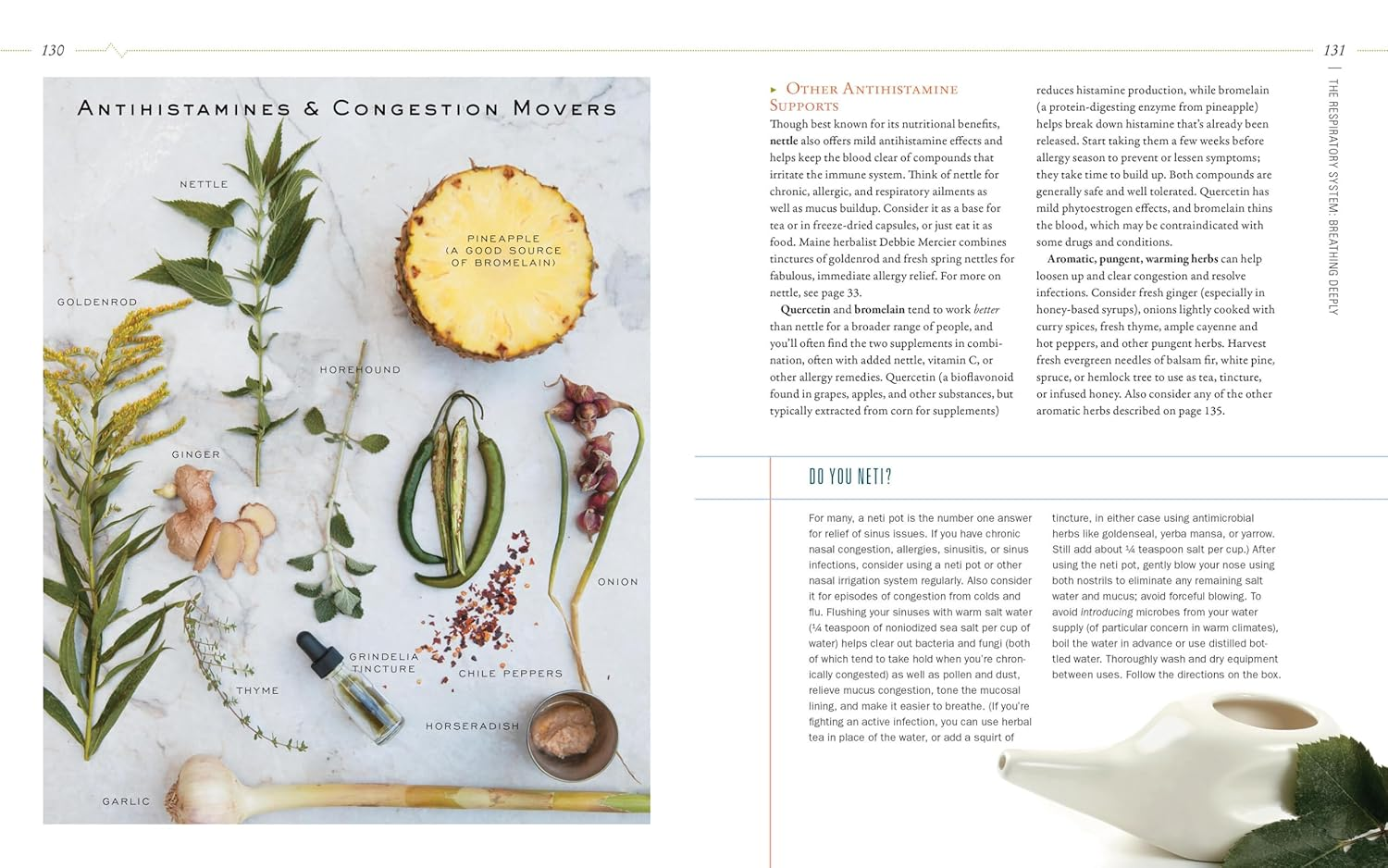 Body into Balance: an Herbal Guide to Holistic Self-Care image number 2