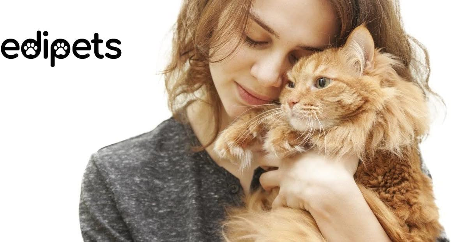 Edipets, Cat Fountain 1 Litre Capacity Automatic Drinker Silent Water Dispenser D024 Accessories Infrared Sensor Quiet with Carbon Filter (White) image number 4