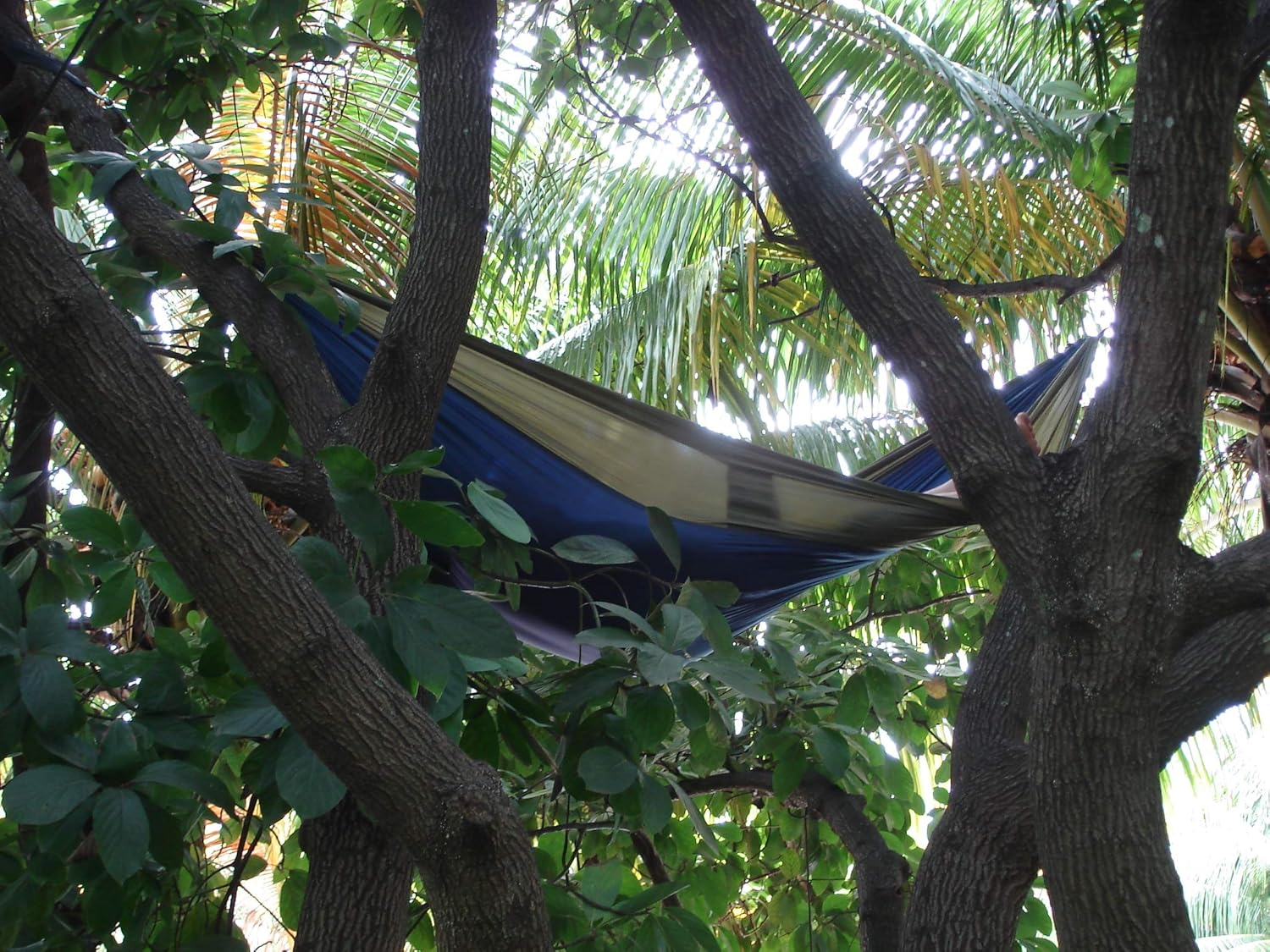 Vivere Nylon Double Parachute Camping Portable Hammock, Navy/Olive