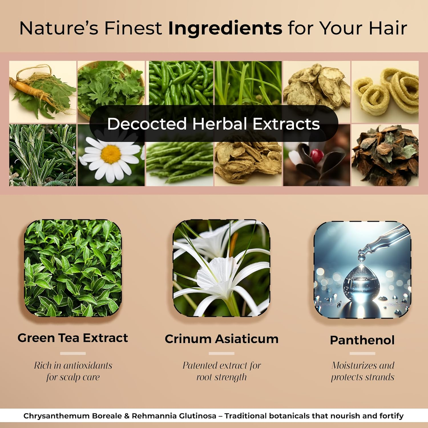 Ghori Sublimizhair Korean Herbal Shampoo for Dry & Damaged Hair | Hanbang Formula with Ginseng, Licorice & Tea Extracts | Gentle Scalp Cleansing | Ph Balanced Shampoo | 300 Ml / 10.1 Fl Oz image number 5