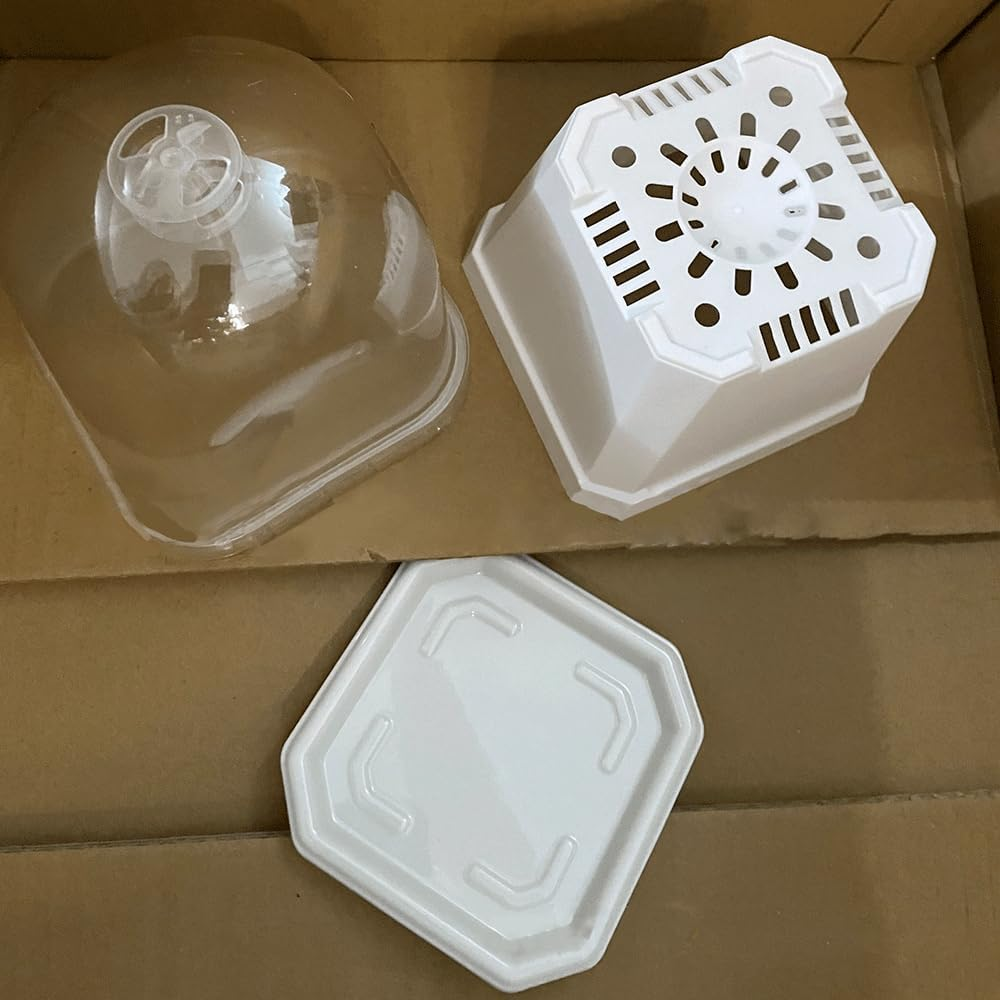Sagasave 12 Sets Plants Nursery Pot, 15.5Cm Plastic Square Nursery Flower Pots with Humidity Dome and Tray, Small Flower Plant Container for Seedlings, Cuttings, Transplanting (Transparent) image number 2