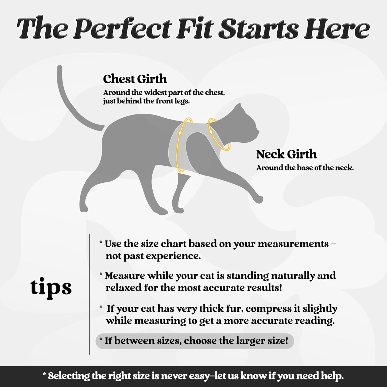 Rabbitgoo Cat Harness and Leash Set for Walking Escape Proof, Adjustable Soft Kitten Vest Harness with Reflective Strip for Cats, Step-In Comfortable Mesh Paded Outdoor Pet Harness, Black, M image number 7