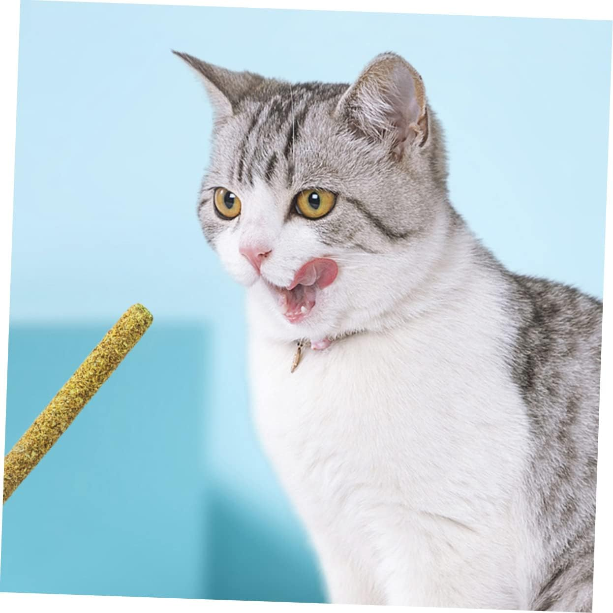 Ipetboom 2Pcs Cat Toy Chew Toys Small Animal Toys Catnip Toys for Cats Kitten Teething Toy Cat Teething Chew Toy Cat Cuddle Toy Pet Supplies Pet Snack Gall Fruit Sticks Catnip Balls image number 3