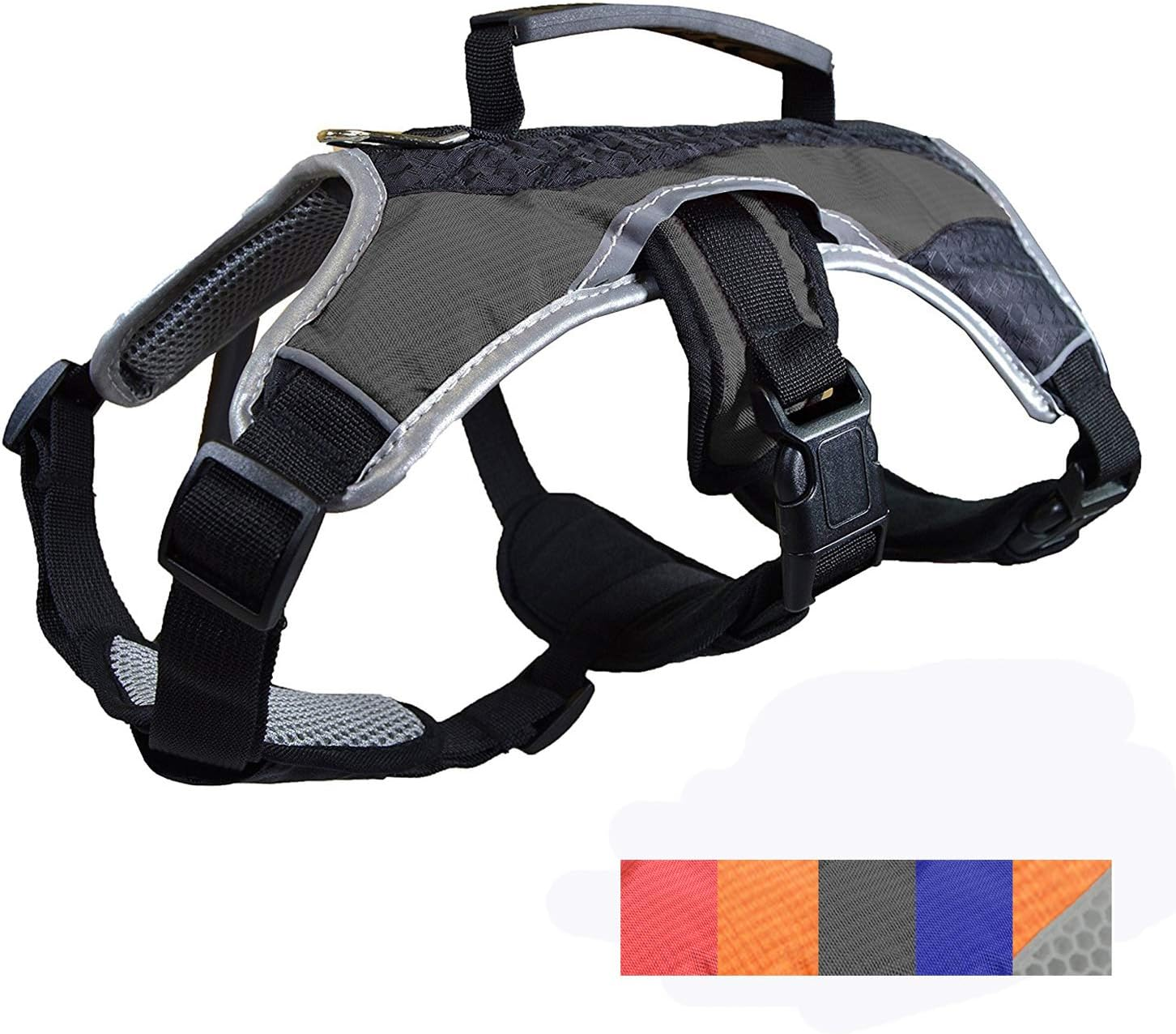 Dog Walking Lifting Carry Harness, Support Mesh Padded Vest, Accessory, Collar, Lightweight, No More Pulling, Tugging or Choking, for Puppies, Small Dogs (Blue, Large), by Downtown Pet Supply