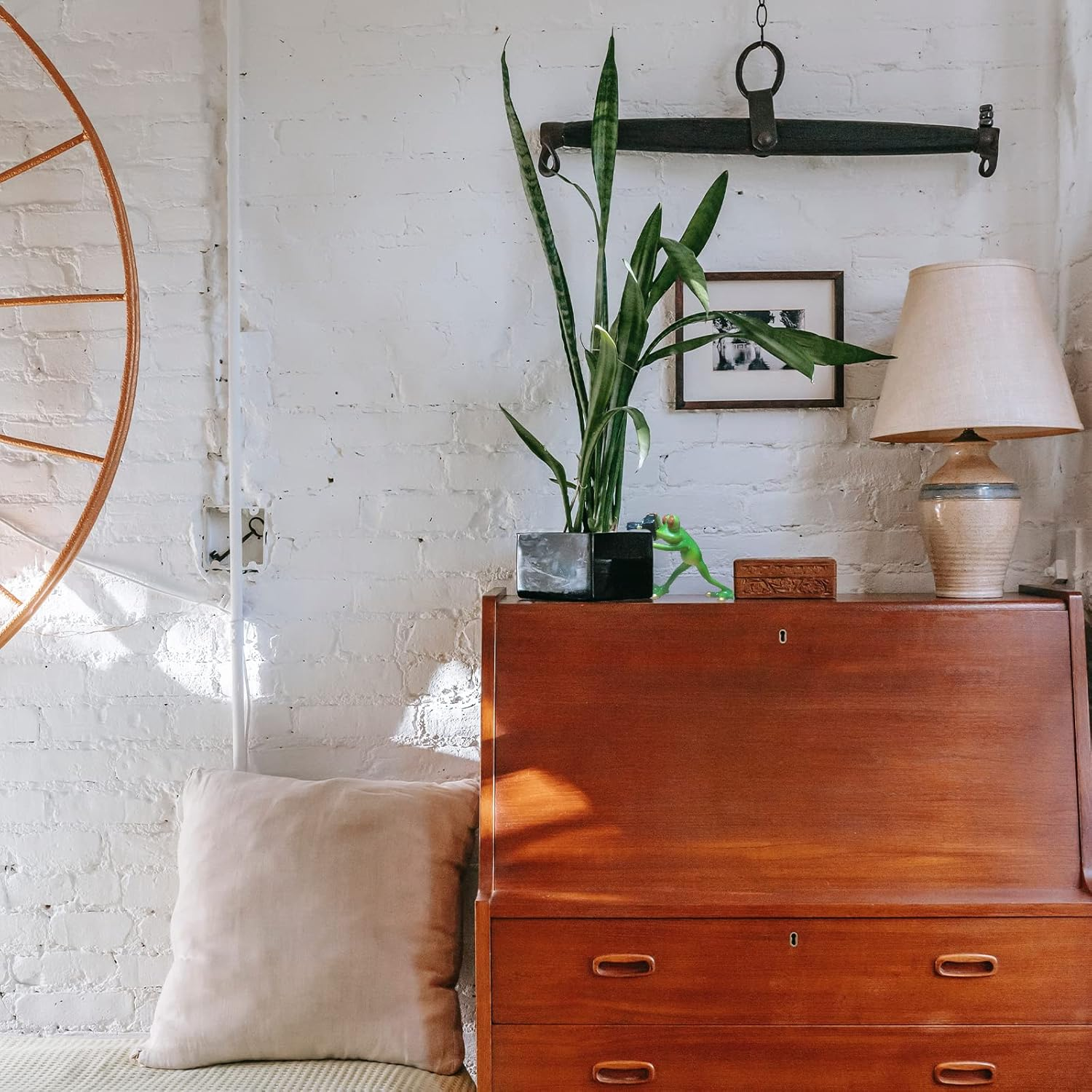 Outdoor Decor Garden Frog Gifts, Paparazzi Camera Decor, Resin Crafts for Shelves Table Desk, Statues for Garden image number 6