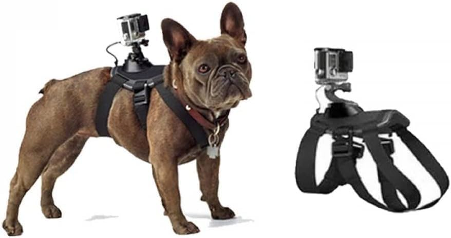 Dog Harness Gopro, Soft and Adjustable Gopro Dog Harness Mount for Large, Medium and Small Dogs Can Be Used for Chest and Back Fixation Suitable for All Models of Gopro Hero image number 6
