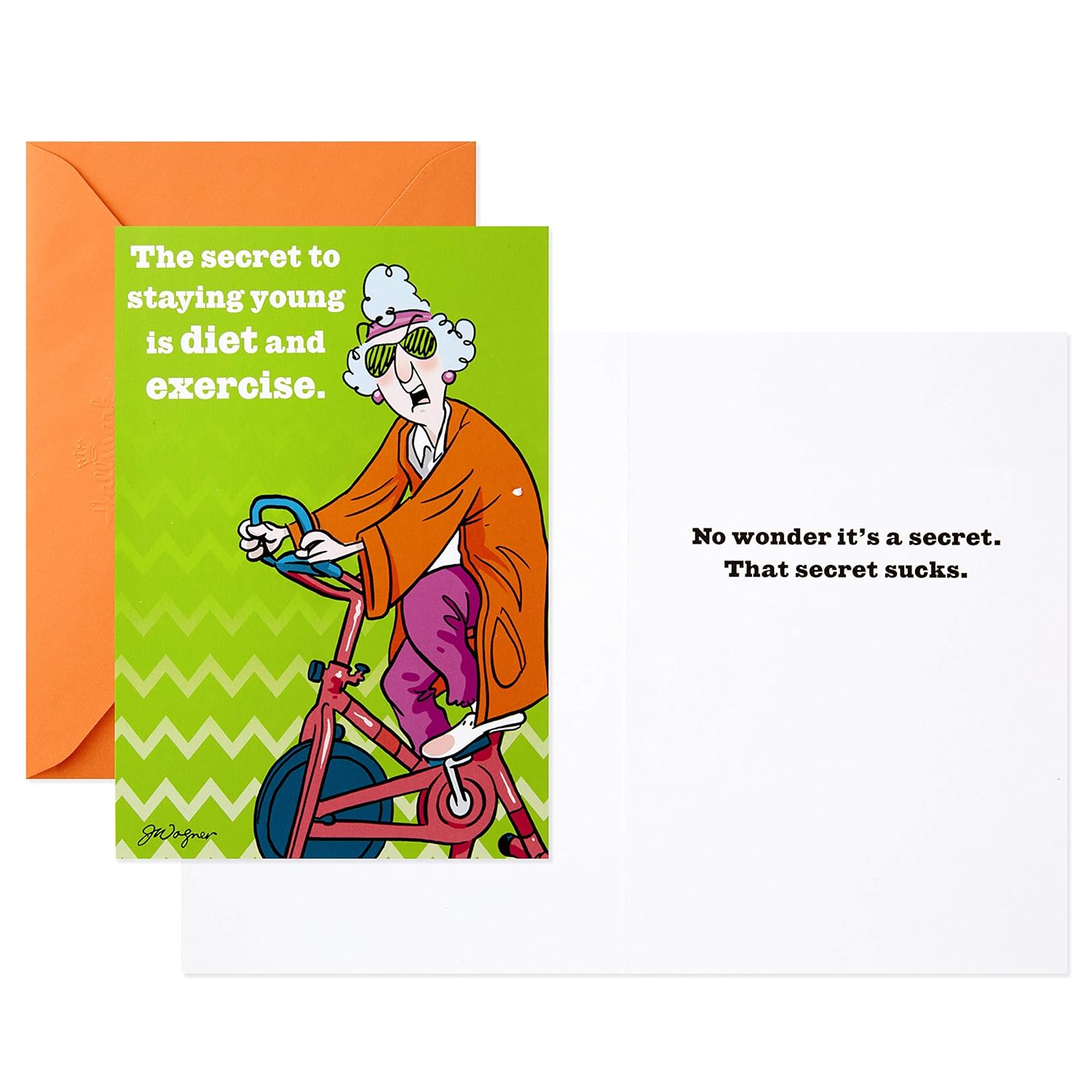 Hallmark Shoebox Maxine All Occasions Card Assortment (6 Cards with Envelopes), Model:1599Rzg1001 - Pop Up Assortment, 5 Cards With Envelopes image number 5