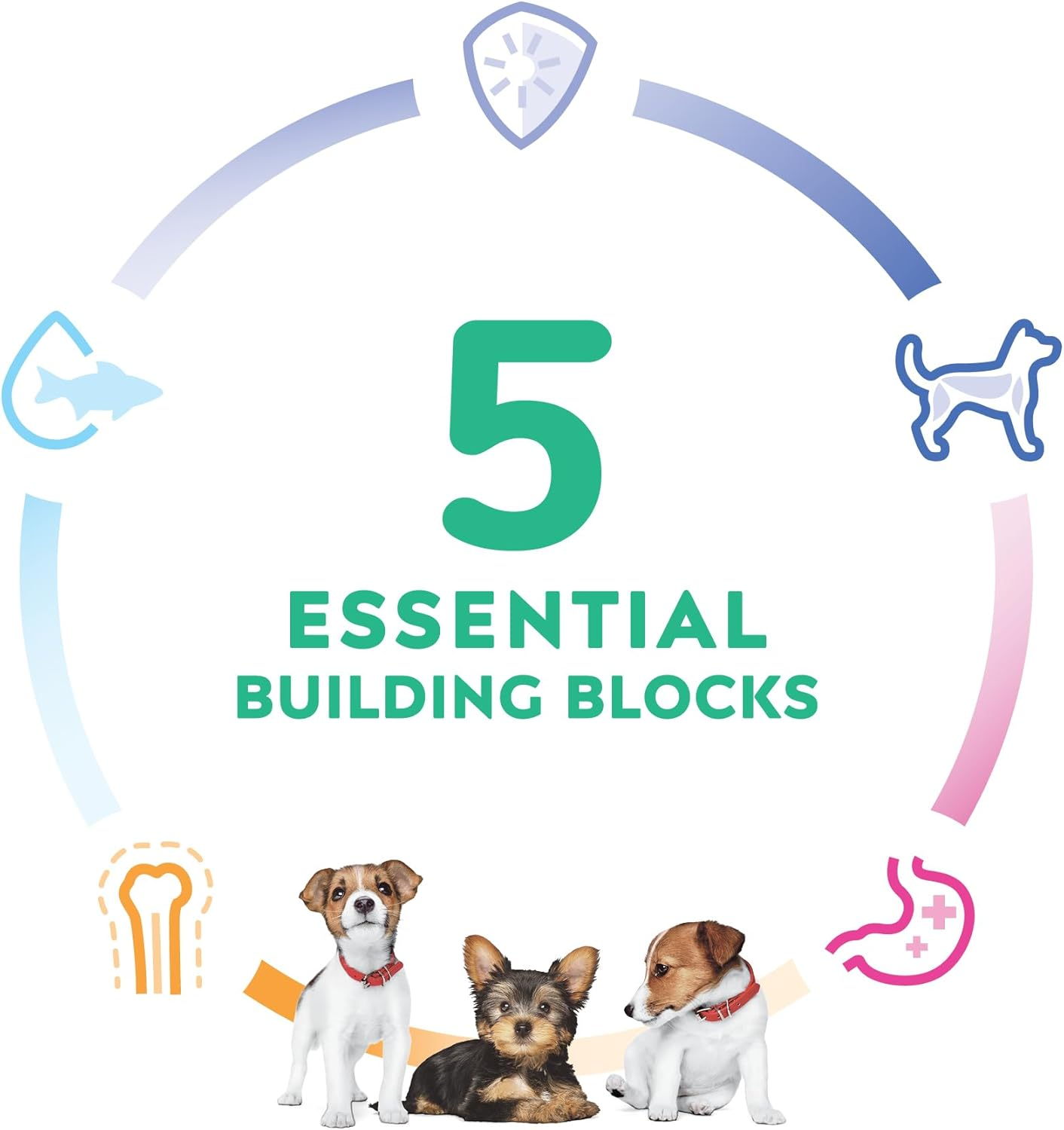 Hill'S Science Diet Puppy Small Paws Dry Dog Food 1.5Kg