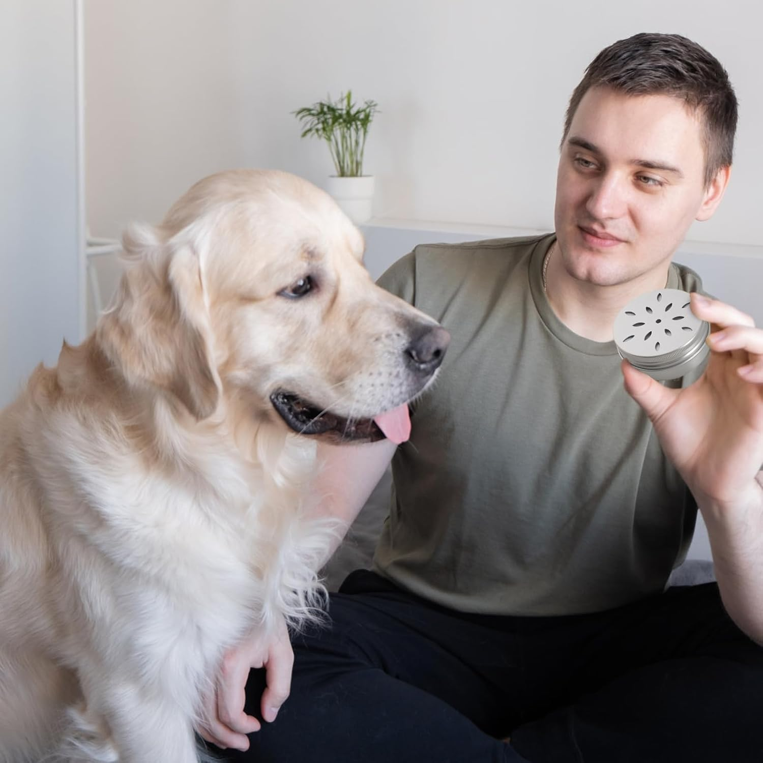 12 Pack Scent Training for Dogs Scent Dog Scent Work Tins Small Dog Food Container Nose Work Supplies for Scent Training, Aluminum Dog Scent Boxes image number 4