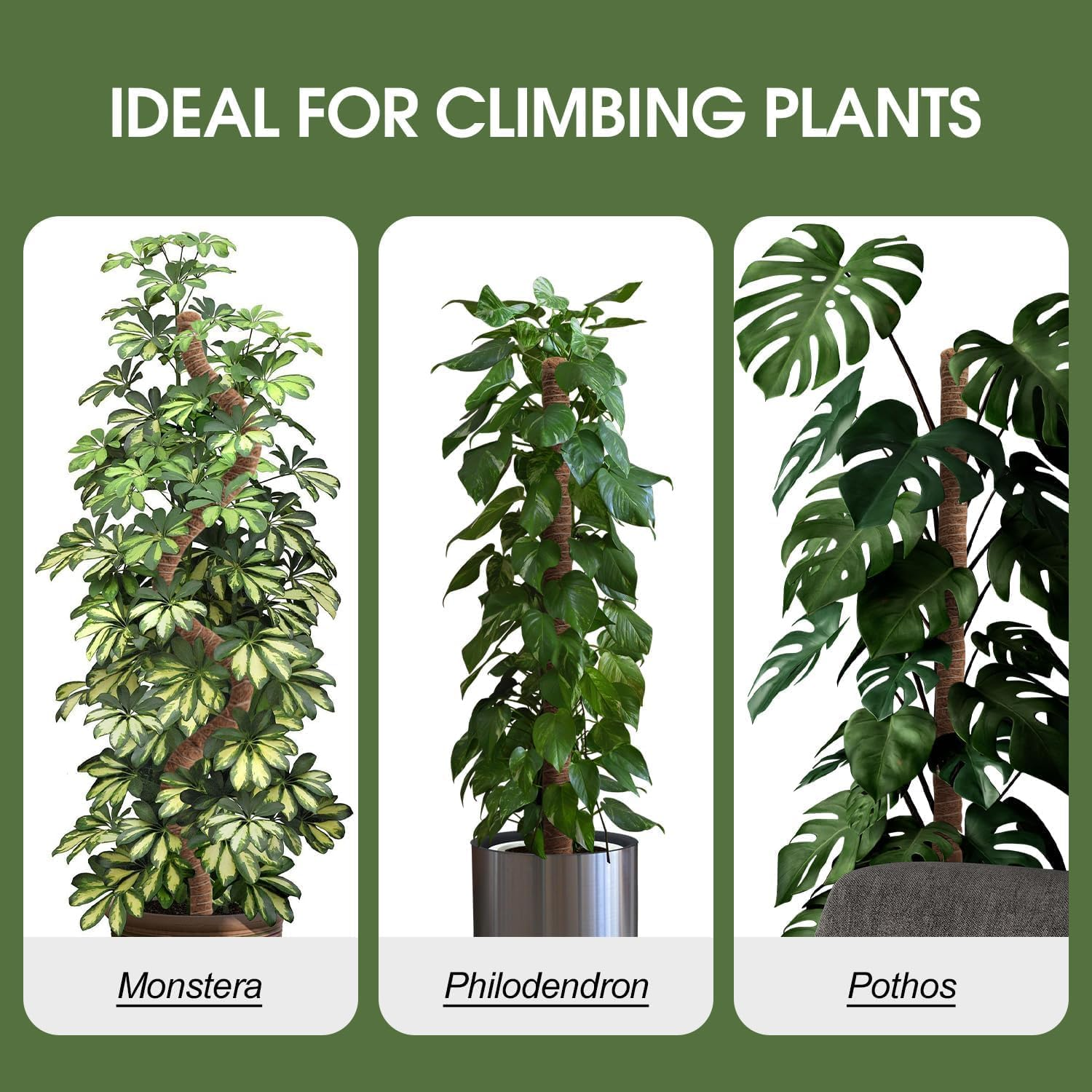 Mumiuu 2 Pack Moss Pole, 63 Inch Bendable Plant Support Sticks for Climbing Plants, Brown, Fiber & Aluminium