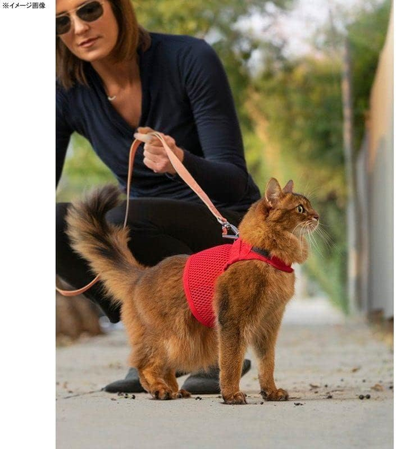 Martingale Cat Harness, Medium, Pink Peony image number 2