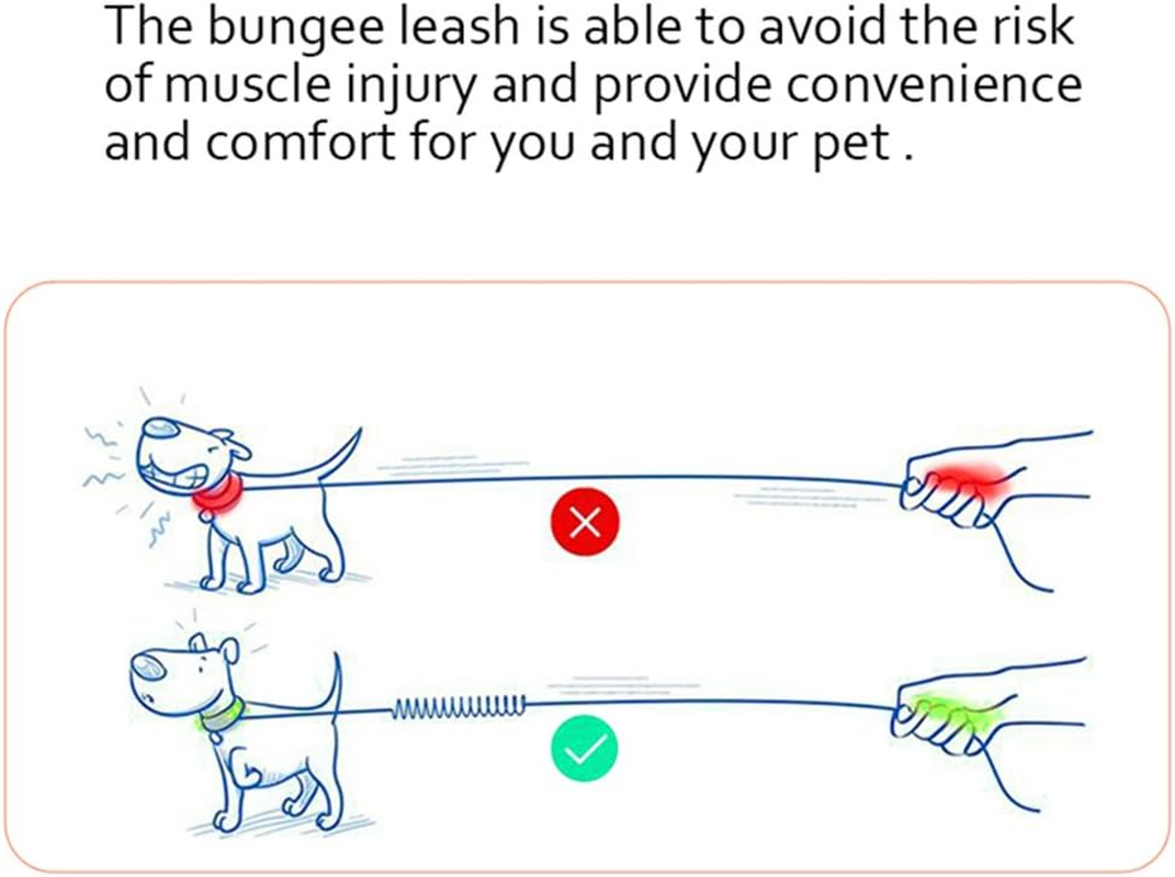 True Love Bungee Extension for Leash, Medium, Neon Yellow image number 5
