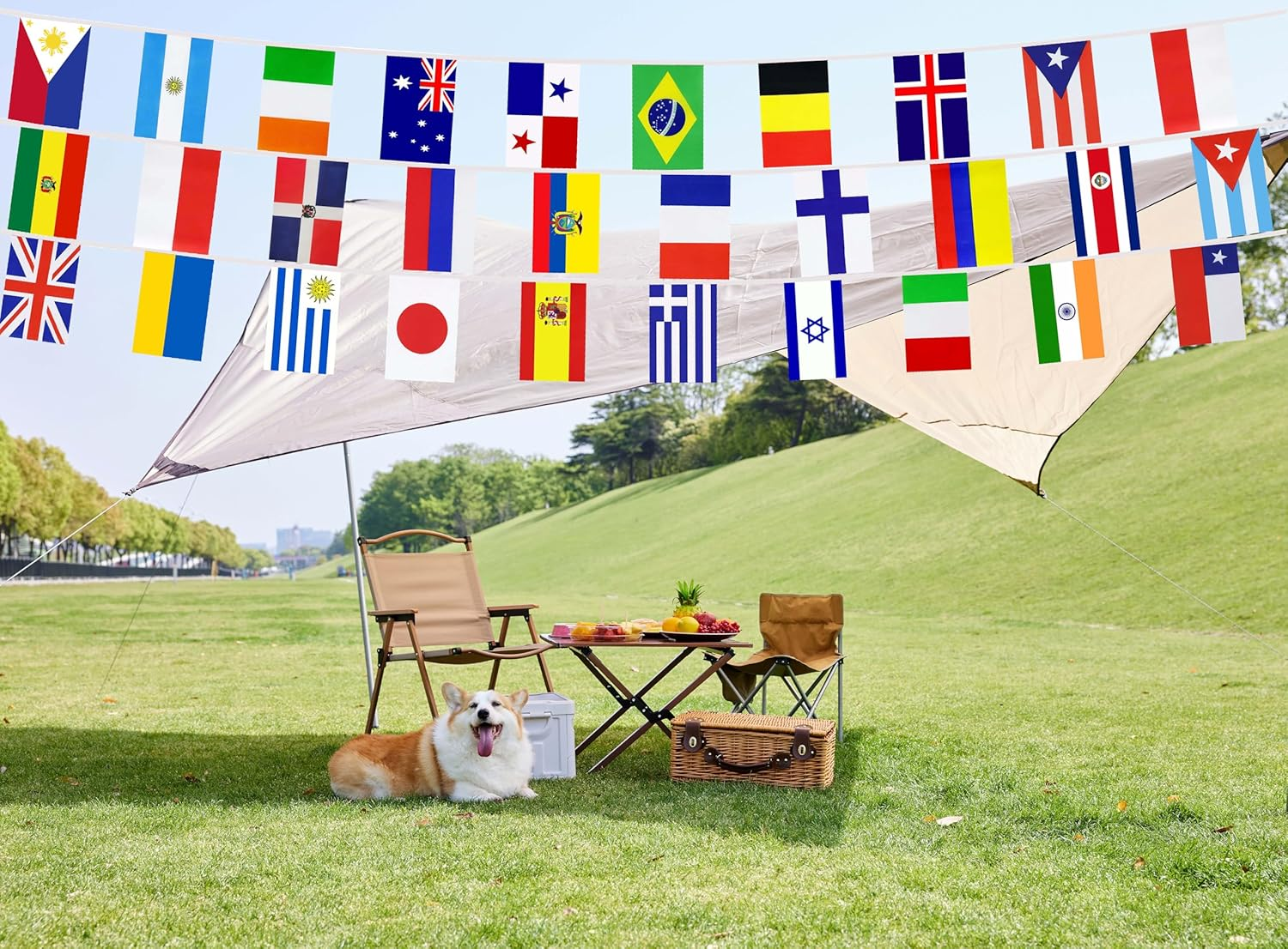 100 Countries International String Flag,World Country Flags Bunting Banner,Small Mini National Bunting Flags Banner Decoration for School, Sports Events, Grand Opening, Party(95Ft) - 200 Countries image number 2