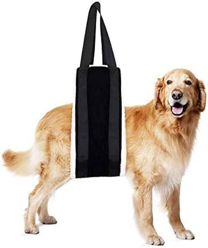 Dog Sling for Large Dogs 30-120 Lbs | Soft Lift Support Harness for Back Legs & Hip | Helps Senior/Disabled Dogs with Arthritis, ACL Surgery Recovery & Mobility Aid (Black) image number 5