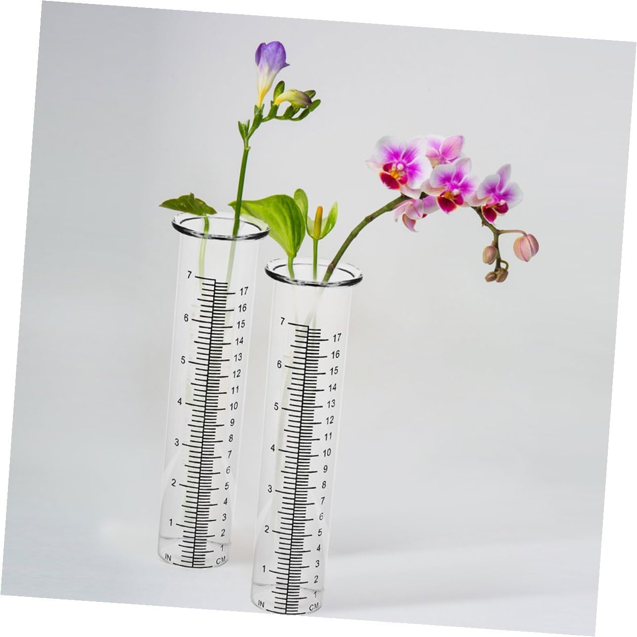 4Pcs Transparent Rain Gauge Tubes Clear Outdoor Rain Measuring Tool for Garden Lawn Portable and Rainfall with Read Scale for Accurate Water Measurement image number 4