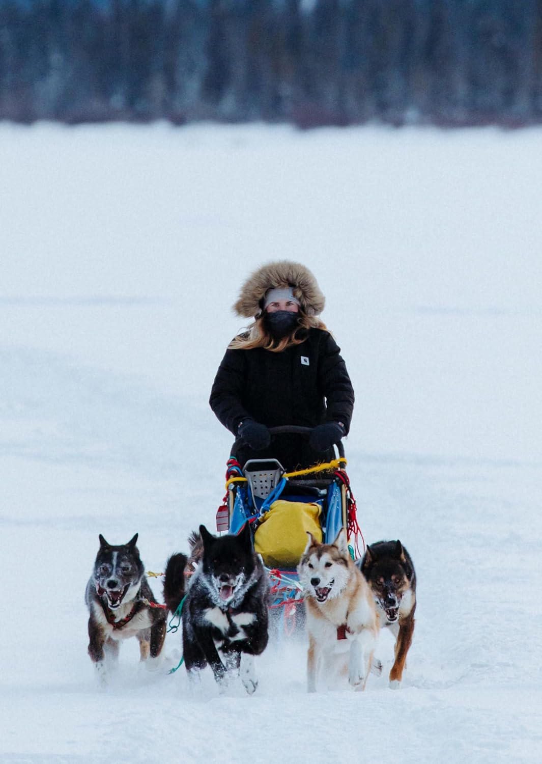 Carhartt Carhartt - Heather Gray image number 3