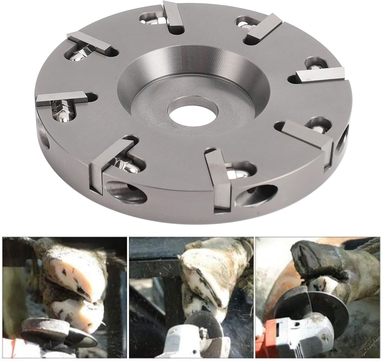 Trim Disc Panel for Cattle Horses Sheep 8 Teeth Steel Blades Durable Hoof Trimmer Suitable for Livestock Farming Ranch Work Equine Care Farriery Use image number 4
