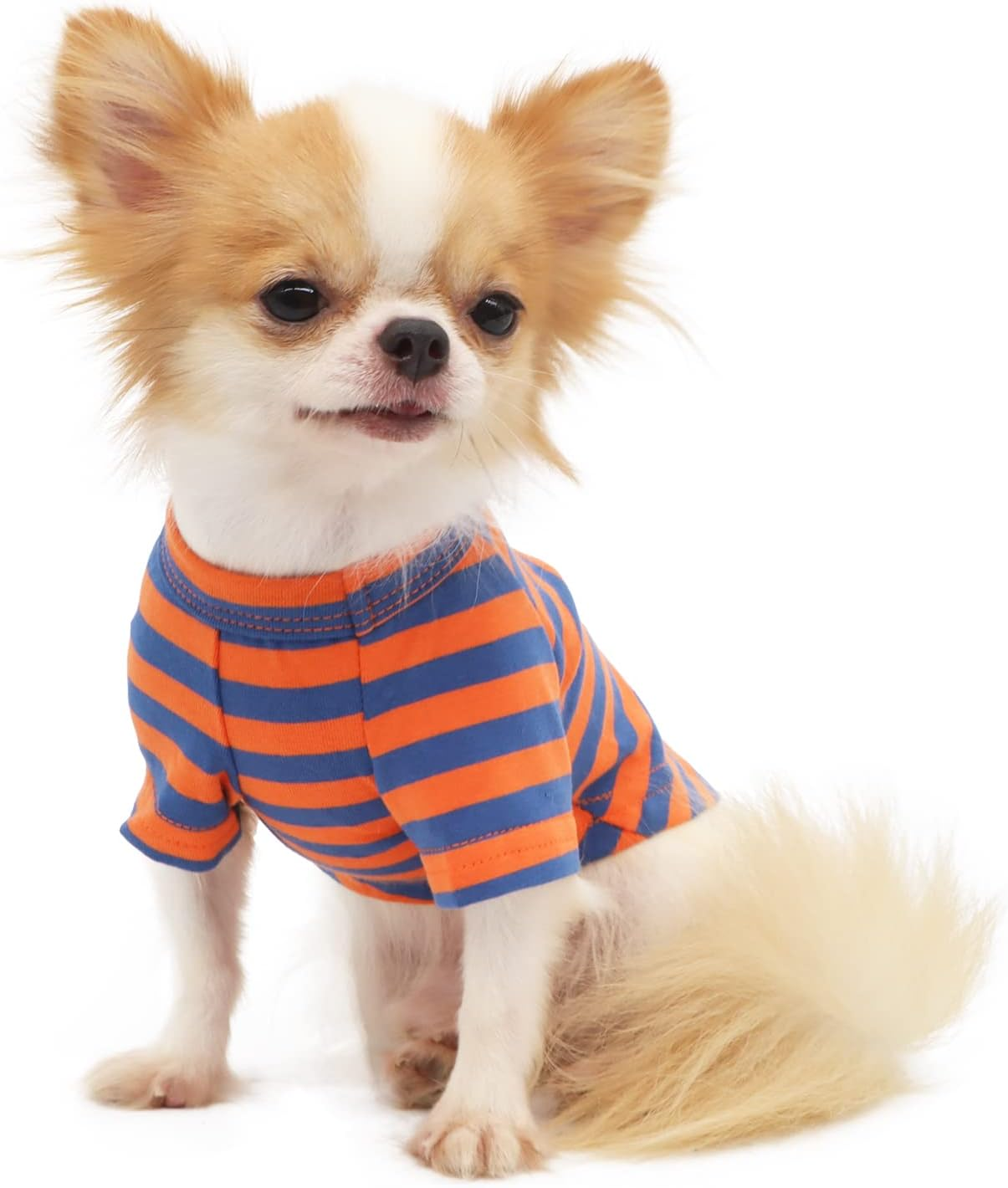 LOPHIPETS 100% Breathable Cotton Striped Dog Tee Shirt T-Shirt for Small Dogs Chihuahua Puppy Clothes -Orange and Blue Strips/M image number 5