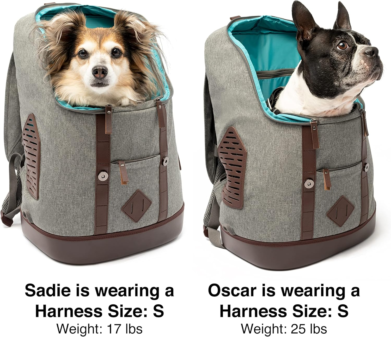 Kurgo Dog Carrier Backpack for Small Pets - Dogs & Cats | TSA Airline Approved | Cat | Hiking or Travel | Waterproof Bottom | G-Train | K9 Ruck Sack | Red | Grey (Heather Charcoal Grey) image number 4