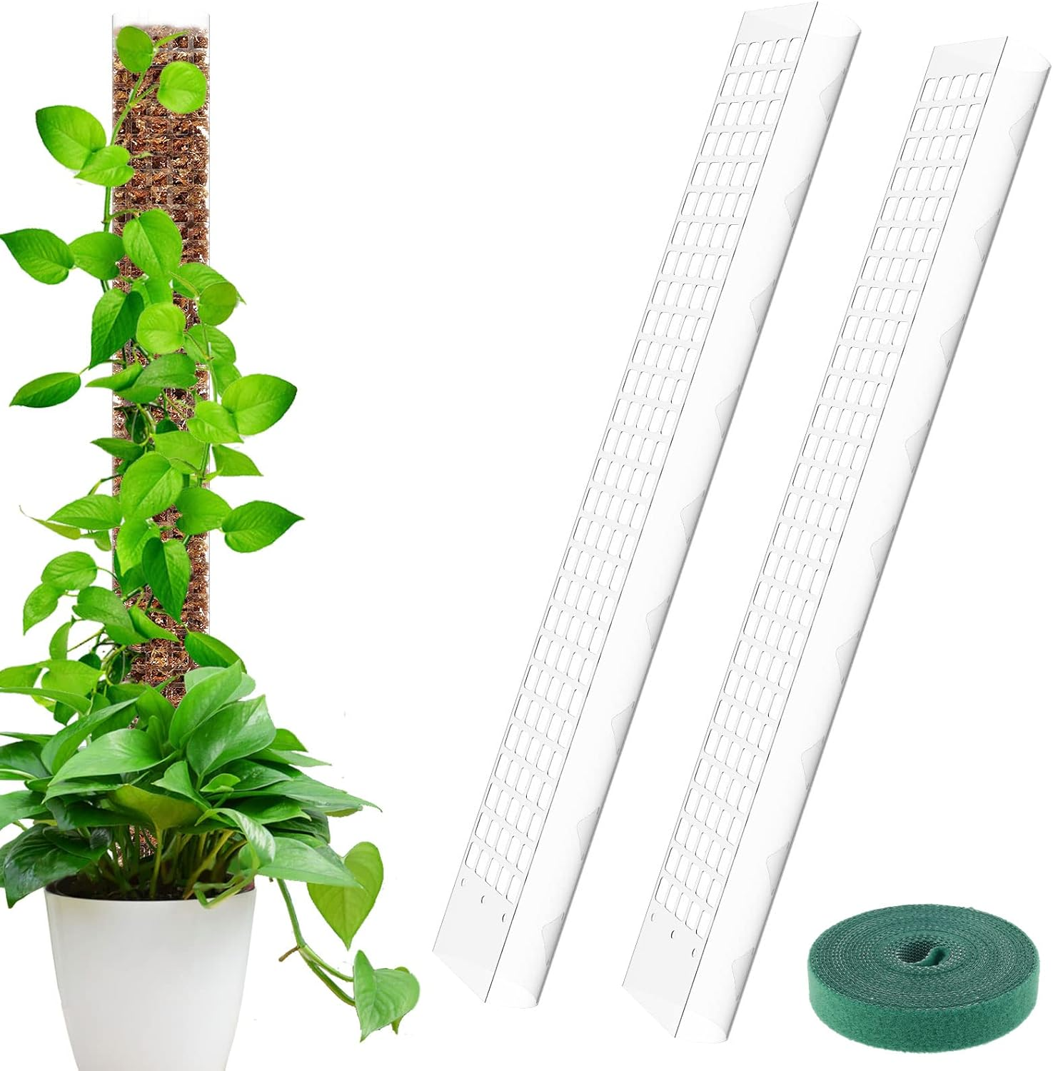HSHGZSR 24 Inch Plastic Moss Poles Reusable Plastic Sheets for Moss Poles Hollow Self Watering Botany for Botany Monstera Semi-Cylindrical Sphagnum Moss Poles for Indoor Botany Climbing Botany (2Pcs) - 4Pcs image number 3