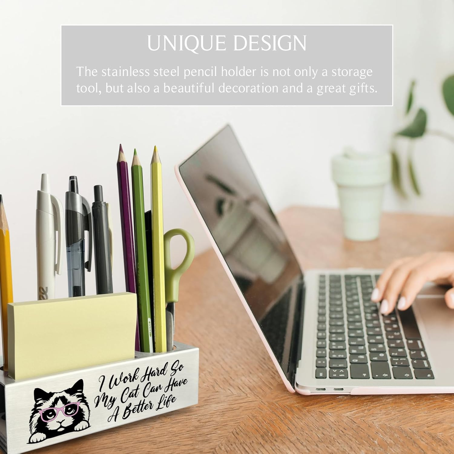 Ragdoll Cat Pencil Holder, Funny Ragdoll Cat Owner Lover Office Desk Decor Organizer Accessories Gifts Stainless Steel Pen Holders Apen2 image number 5