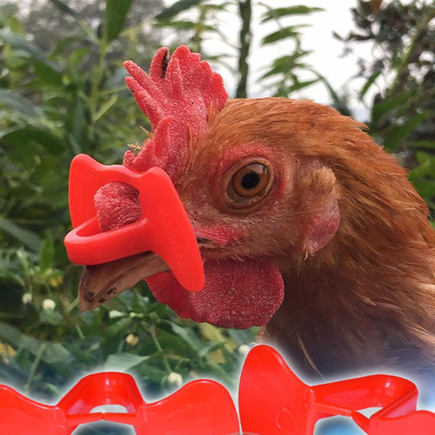 100Pcs Chicken Anti-Pecking Eye Glasses with Install Pliers, Poultry Blinders for Pheasants and Chickens, Peepers to Prevent Pecking Behavior image number 1