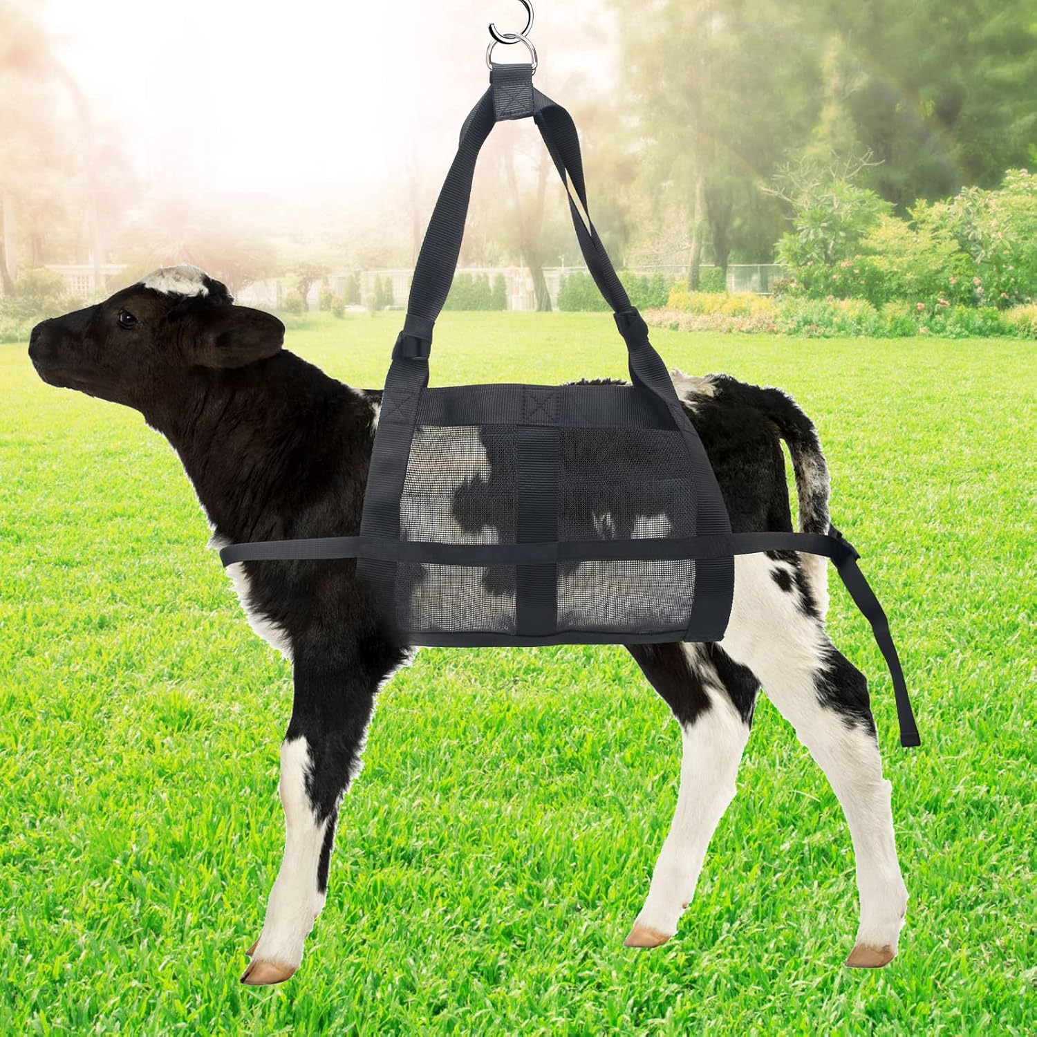 Calf Sling for Weighing Animals, Boyistar 300 LB Animal Weighing Sling for Calf Weight Small Animals, with 2 Reinforced Restraint Types image number 2
