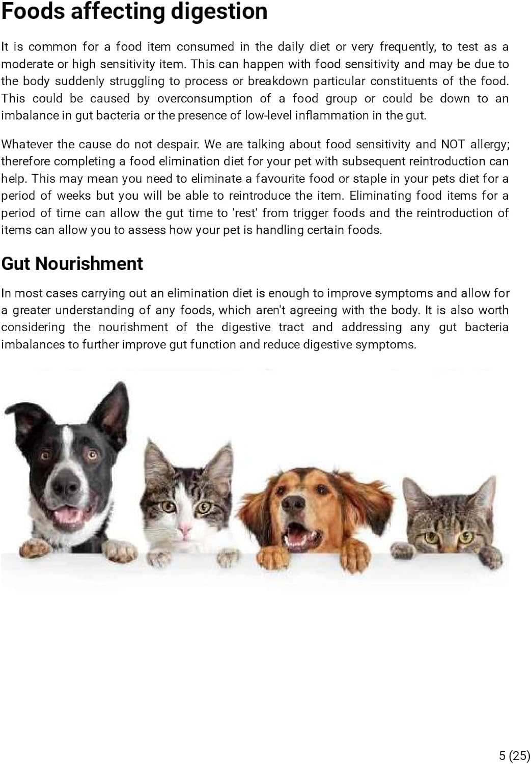 Affinitydna Dog Intolerance Test for 200 Food and Non-Food Allergens | Home Sample Collection Kit for 1 Canine | Results in 5-7 Working Days | a Complete Allergy Kit with No Extra Fees image number 5