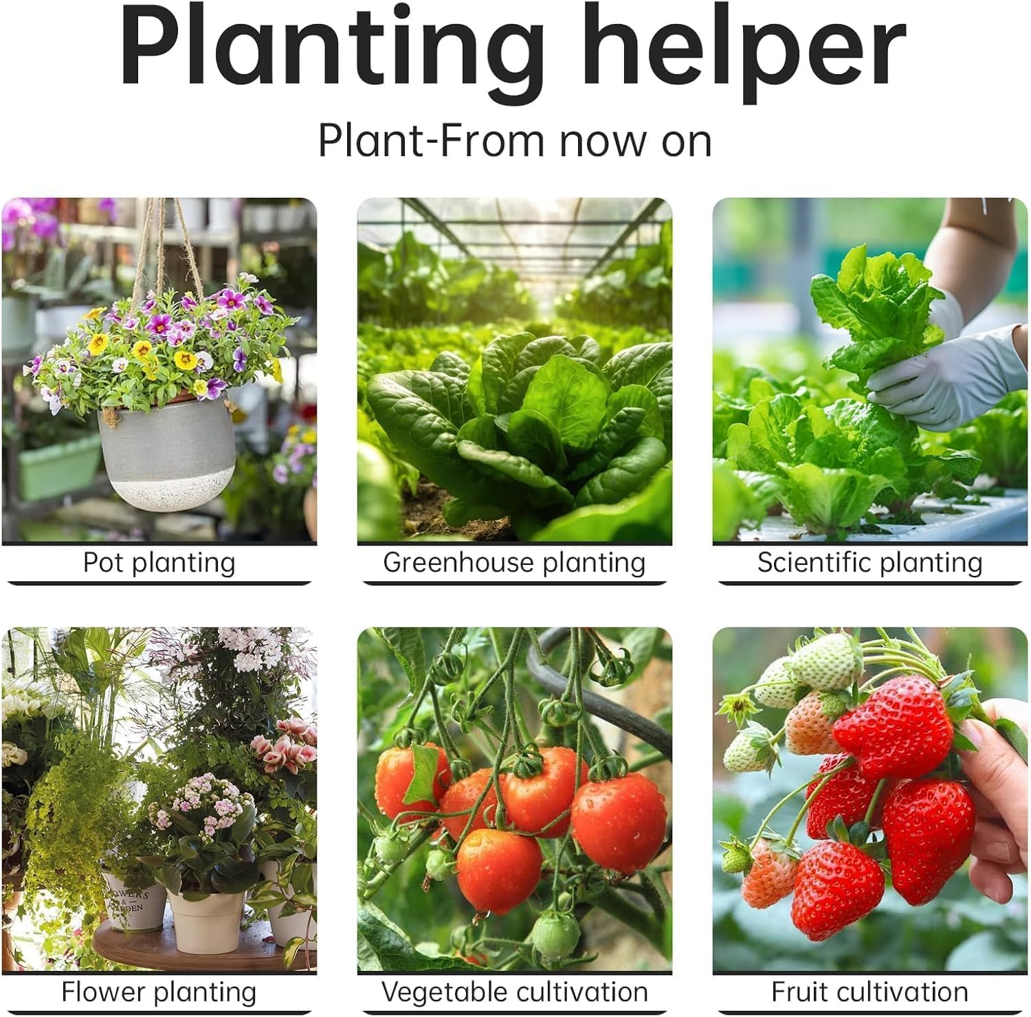 6-In-1 Soil Moisture Meter, Soil Test Kit with Soil Moisture/Ph Meter/Temperature/Sunlight/Air Humidity/Soil Fertility, Soil Tester for Farming, Gardening and Outdoor Plants (2*AAA Battery Needed) image number 3